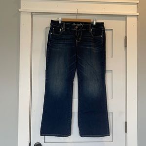 American Eagle Favorite Boyfriend Jeans, 16 Short